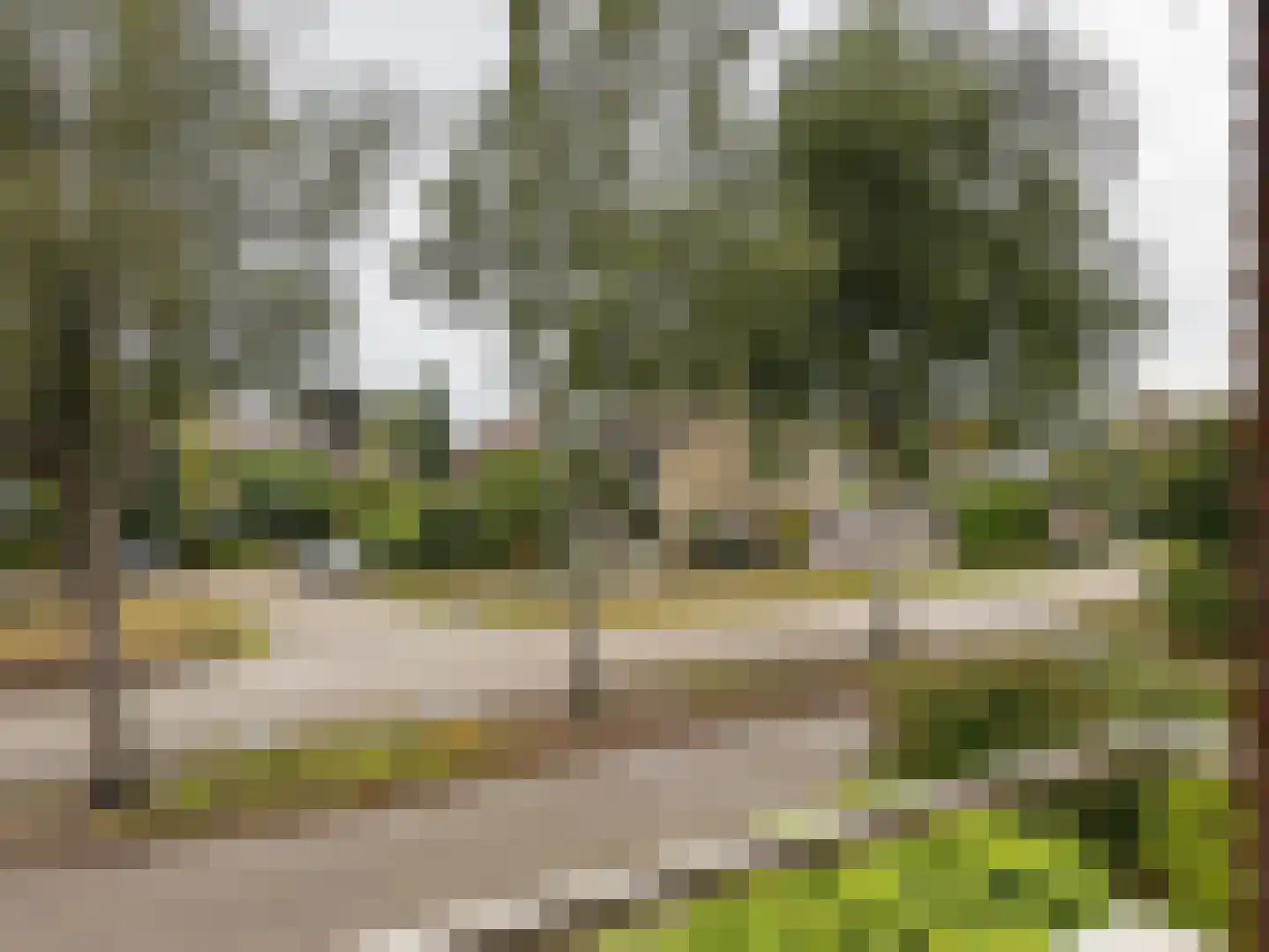 Planterslaan 12 Leersum thumbnail 16