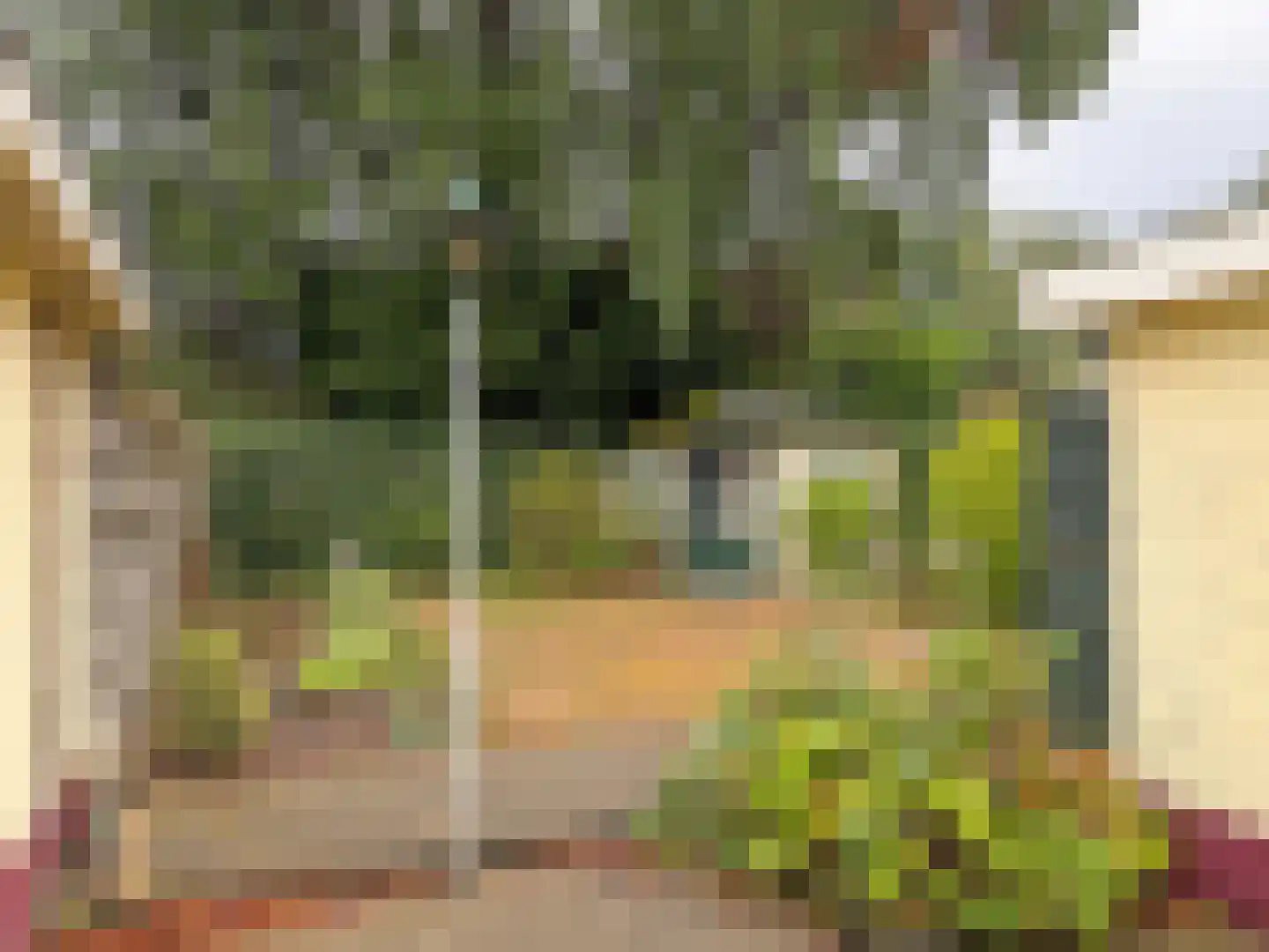 Planterslaan 12 Leersum thumbnail 24