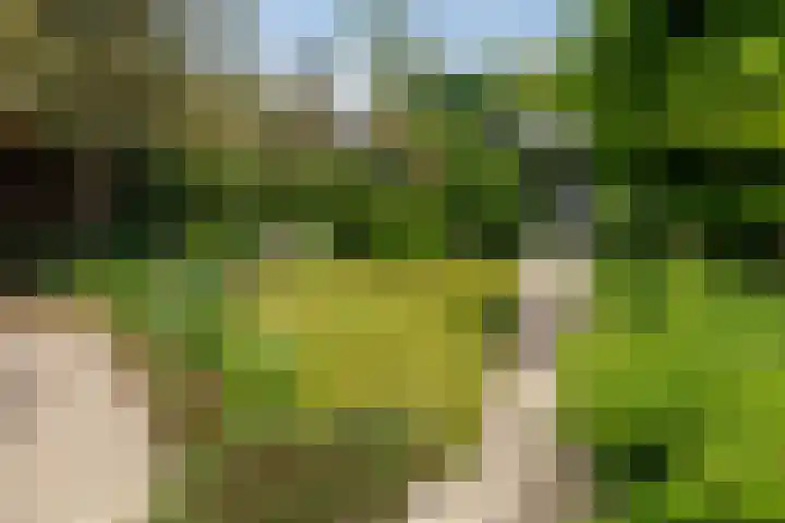 Planterslaan 48 Leersum thumbnail 29