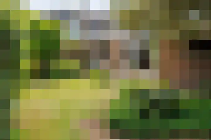 Planterslaan 48 Leersum thumbnail 30