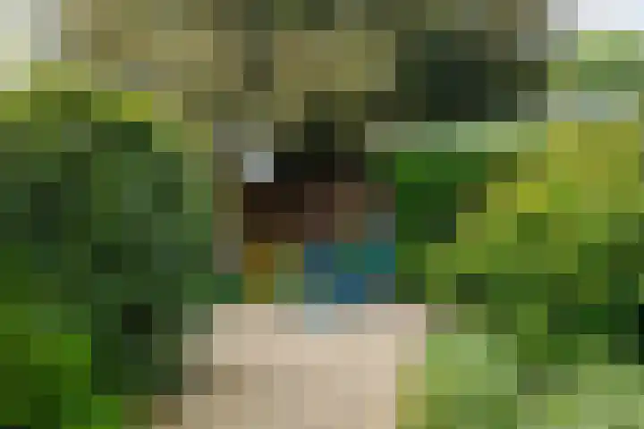 Planterslaan 48 Leersum thumbnail 33