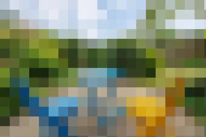 Planterslaan 48 Leersum thumbnail 34