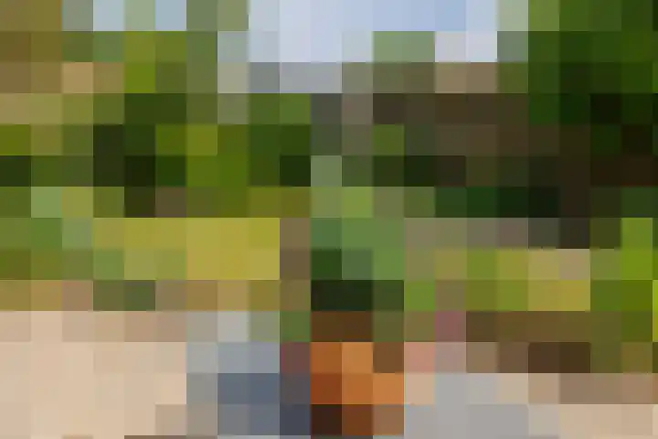 Planterslaan 48 Leersum thumbnail 35