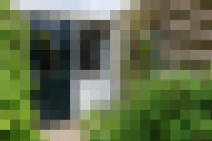 Planterslaan 48 Leersum thumbnail 37