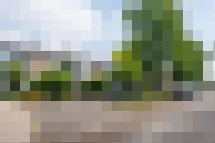 Planterslaan 48 Leersum thumbnail 44