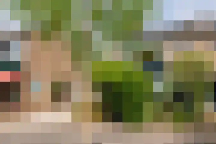 Planterslaan 48 Leersum thumbnail 45