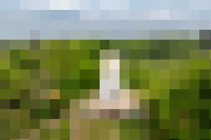 Planterslaan 48 Leersum thumbnail 51
