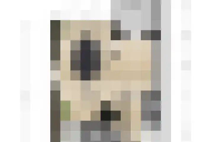 Planterslaan 48 Leersum thumbnail 53