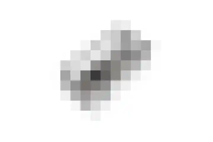 Planterslaan 48 Leersum thumbnail 64