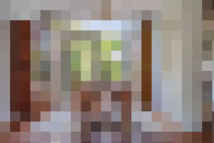 Planterslaan 48 Leersum thumbnail 8