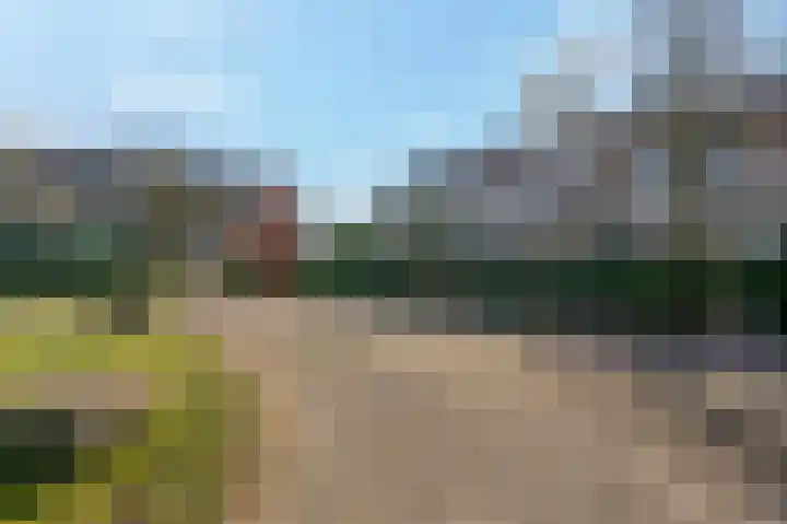Planterslaan 9 Leersum thumbnail 46