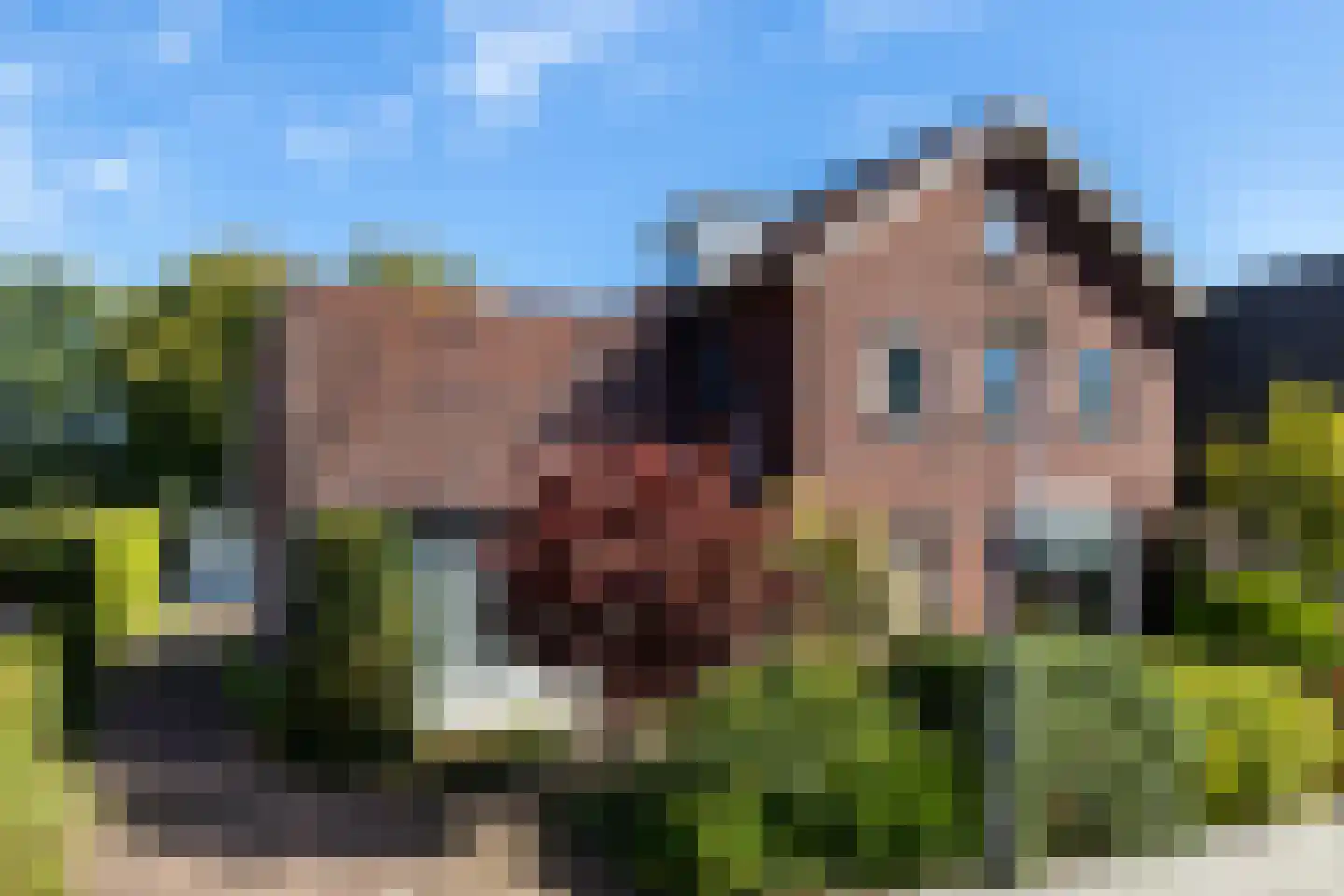 Planthofsweg 10 in Almelo