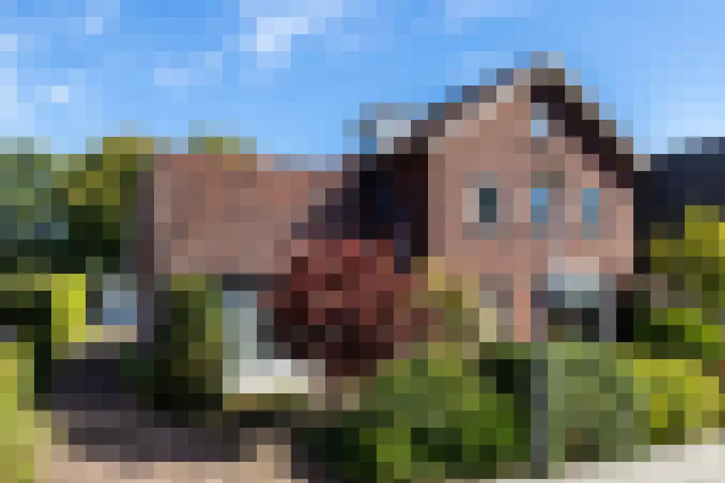 Planthofsweg 10 Almelo foto 2