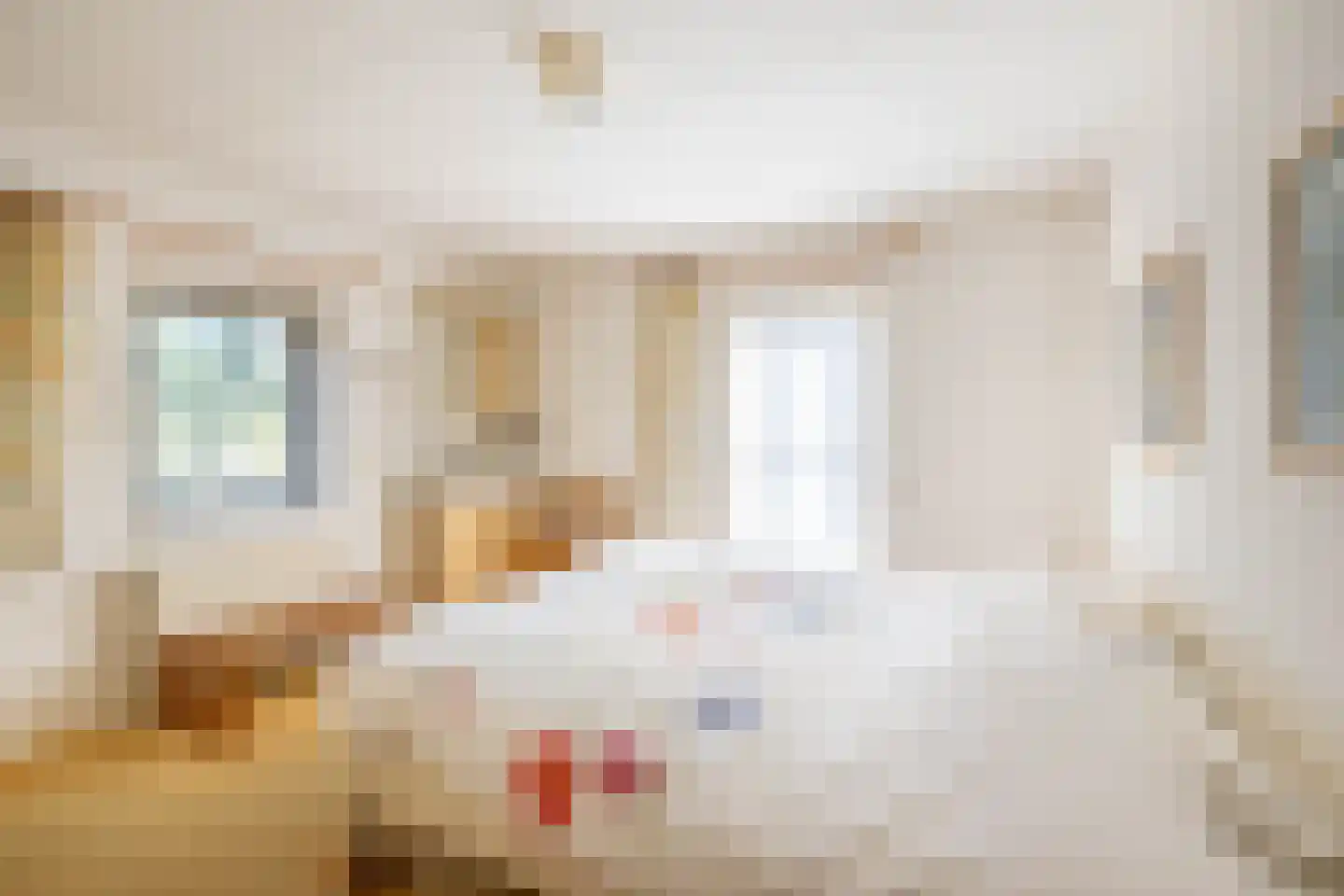 Planthofsweg 10 Almelo thumbnail 20