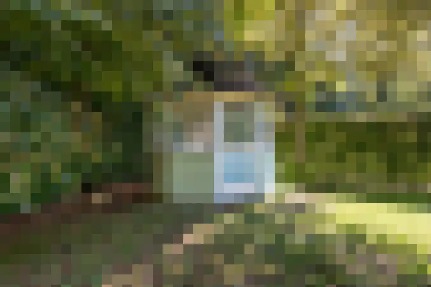 Planthofsweg 10 Almelo thumbnail 30