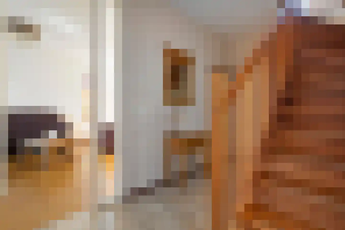 Planthofsweg 3 a Almelo thumbnail 10