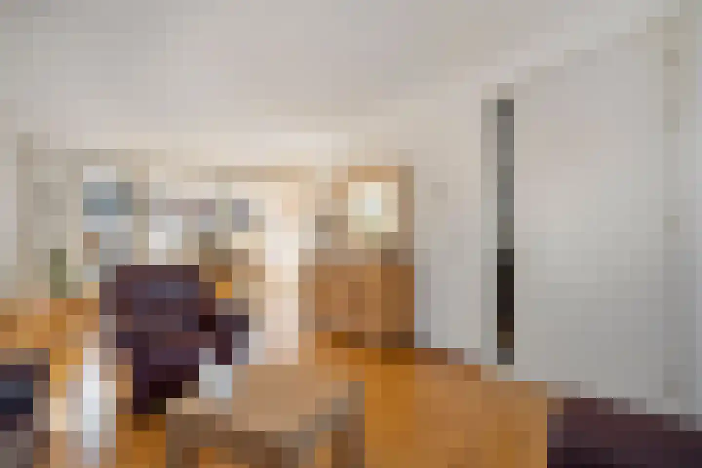 Planthofsweg 3 a Almelo thumbnail 15