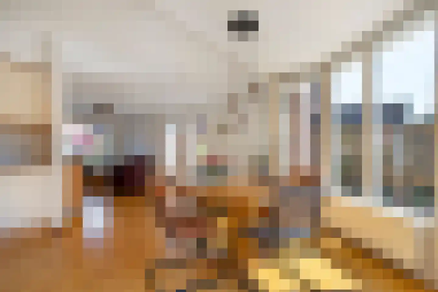 Planthofsweg 3 a Almelo thumbnail 18