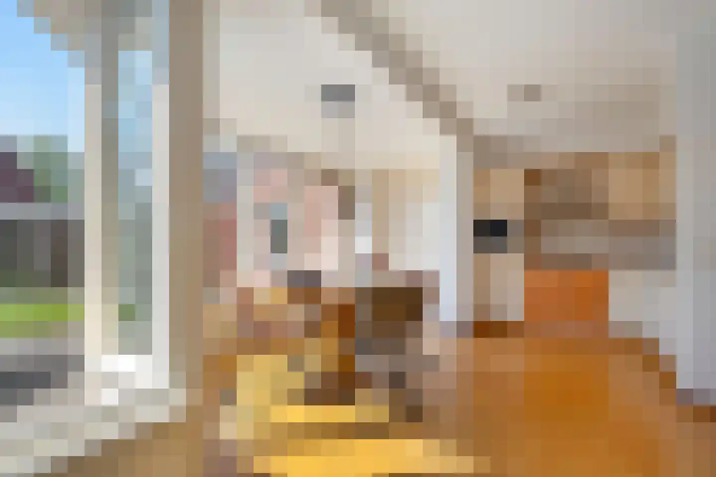 Planthofsweg 3 a Almelo foto 2
