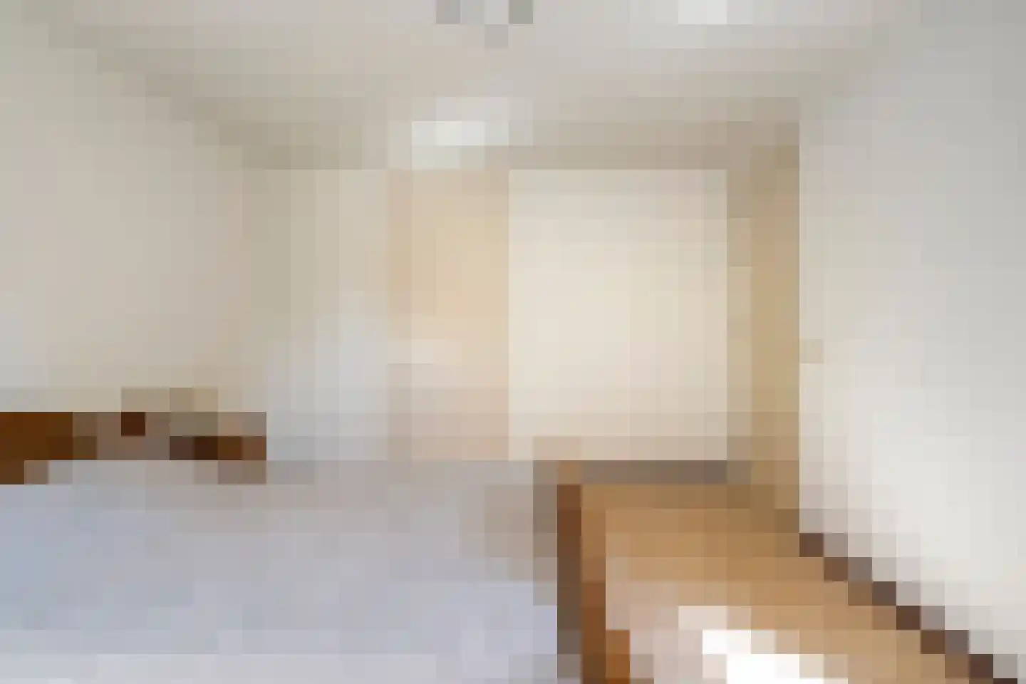 Planthofsweg 3 a Almelo thumbnail 23