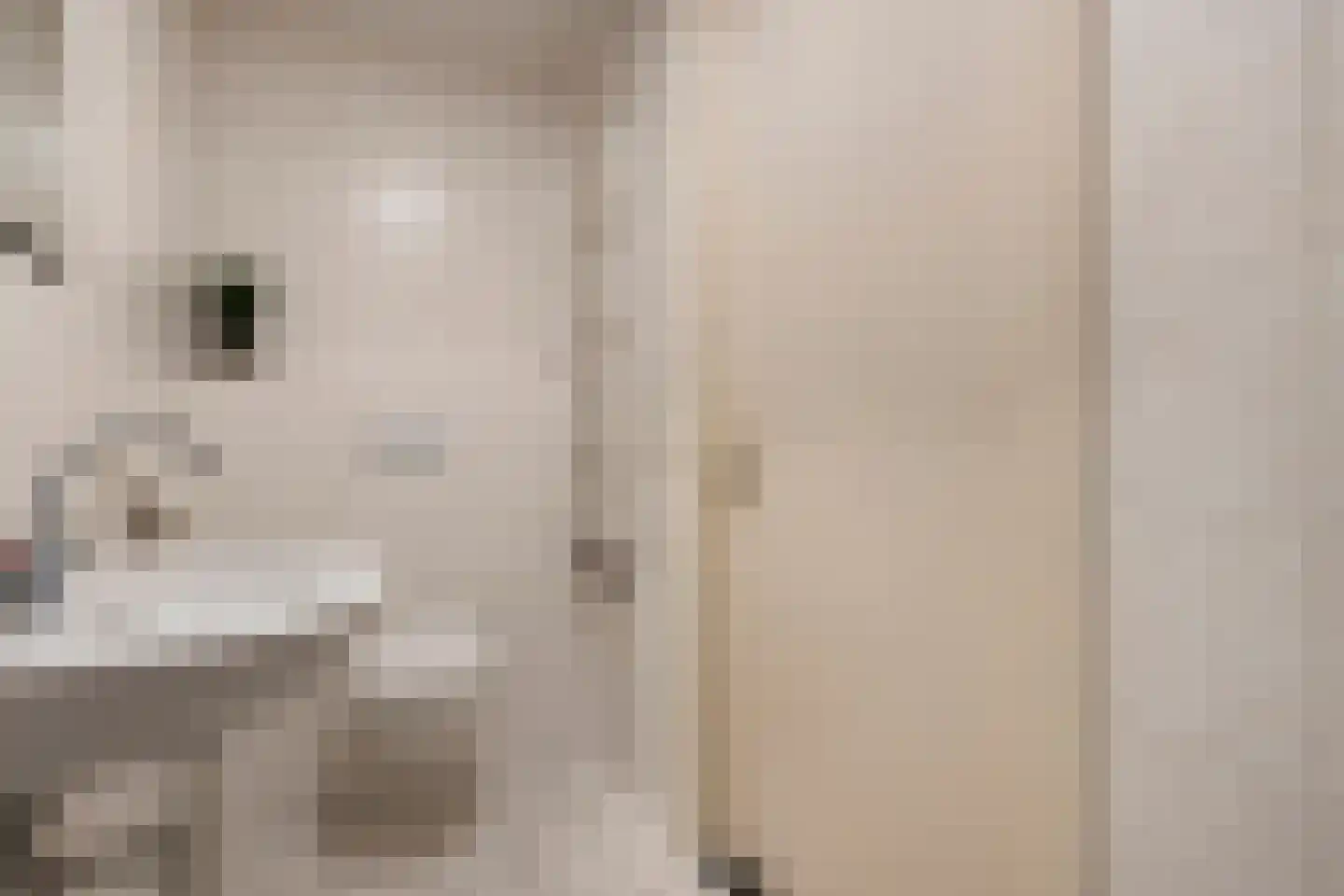 Planthofsweg 3 a Almelo thumbnail 25