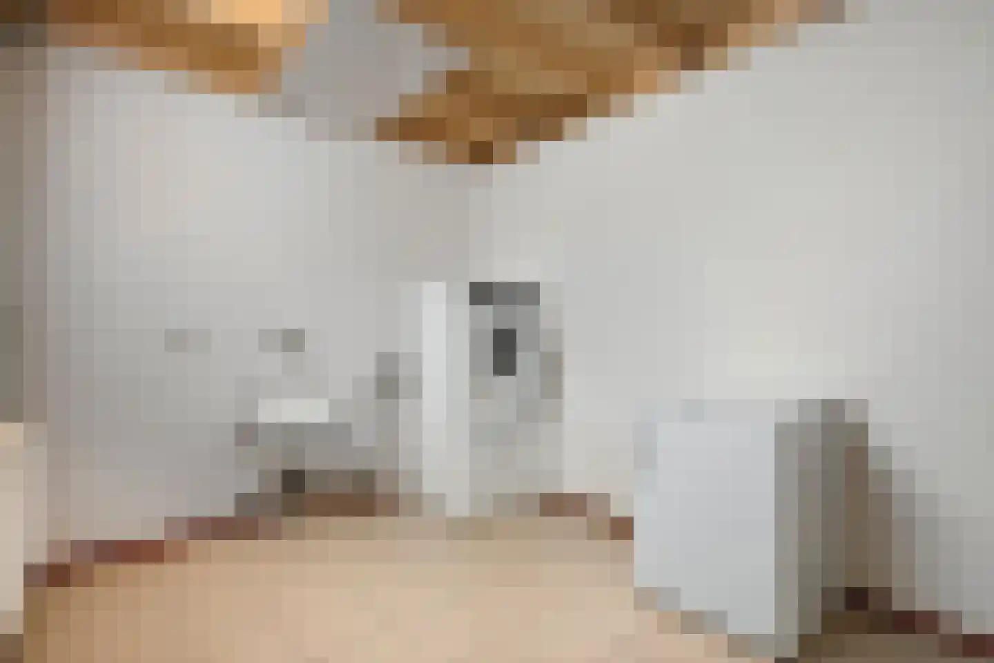 Planthofsweg 3 a Almelo thumbnail 27