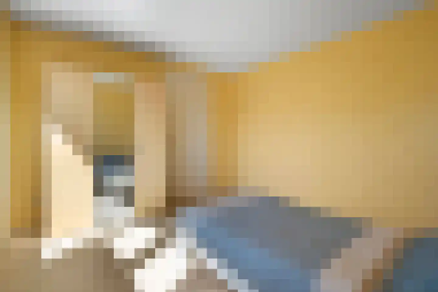 Planthofsweg 3 a Almelo thumbnail 30