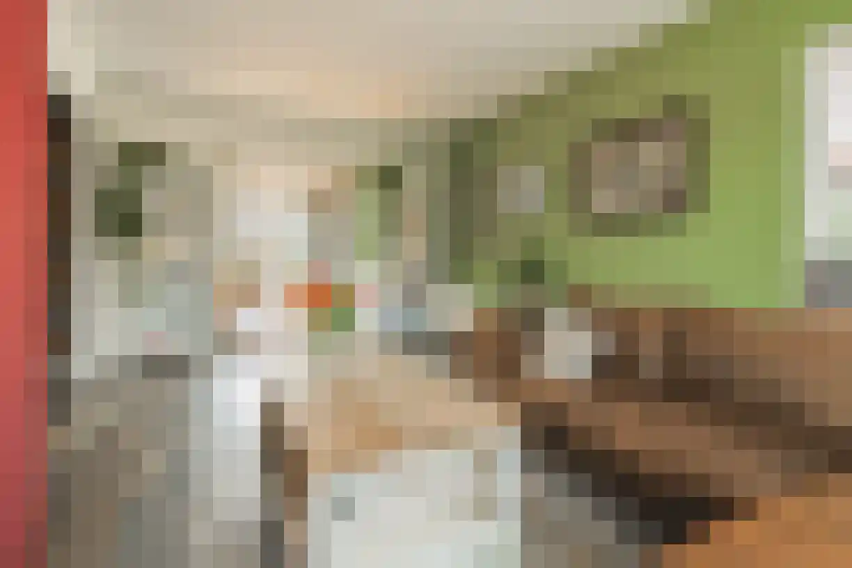 Planthofsweg 5 Almelo thumbnail 12