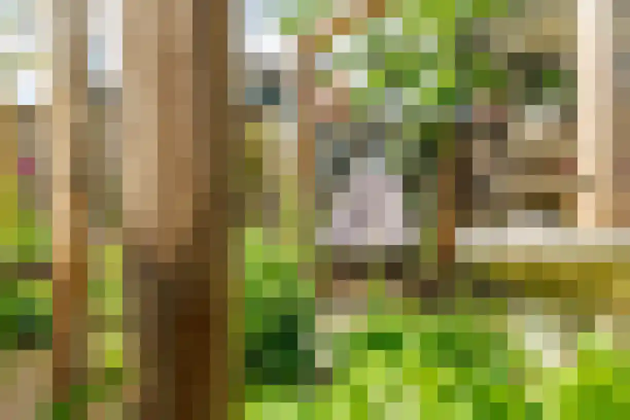 Planthofsweg 5 Almelo thumbnail 39