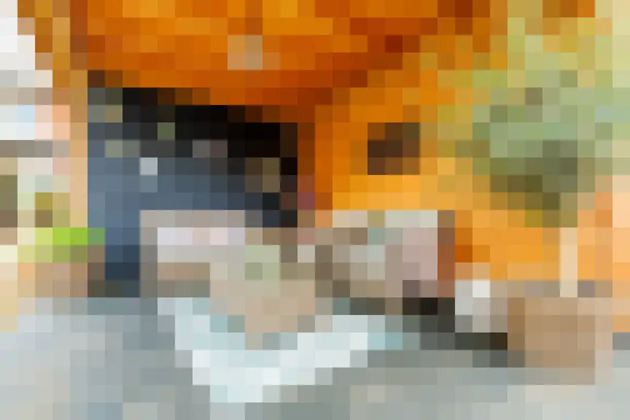 Planthofsweg 5 Almelo thumbnail 42