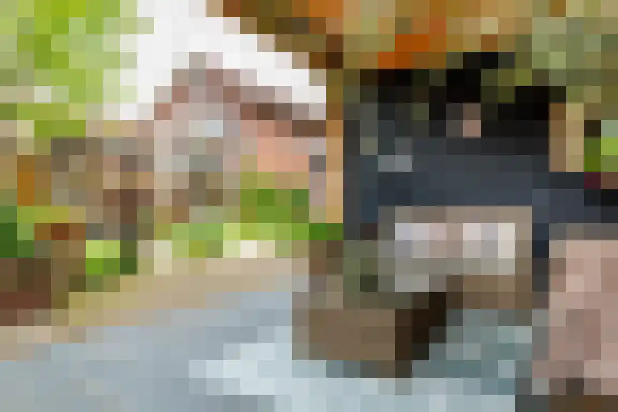 Planthofsweg 5 Almelo thumbnail 43