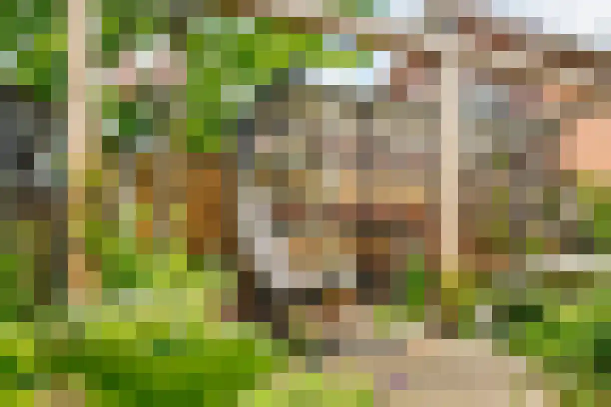 Planthofsweg 5 Almelo thumbnail 45