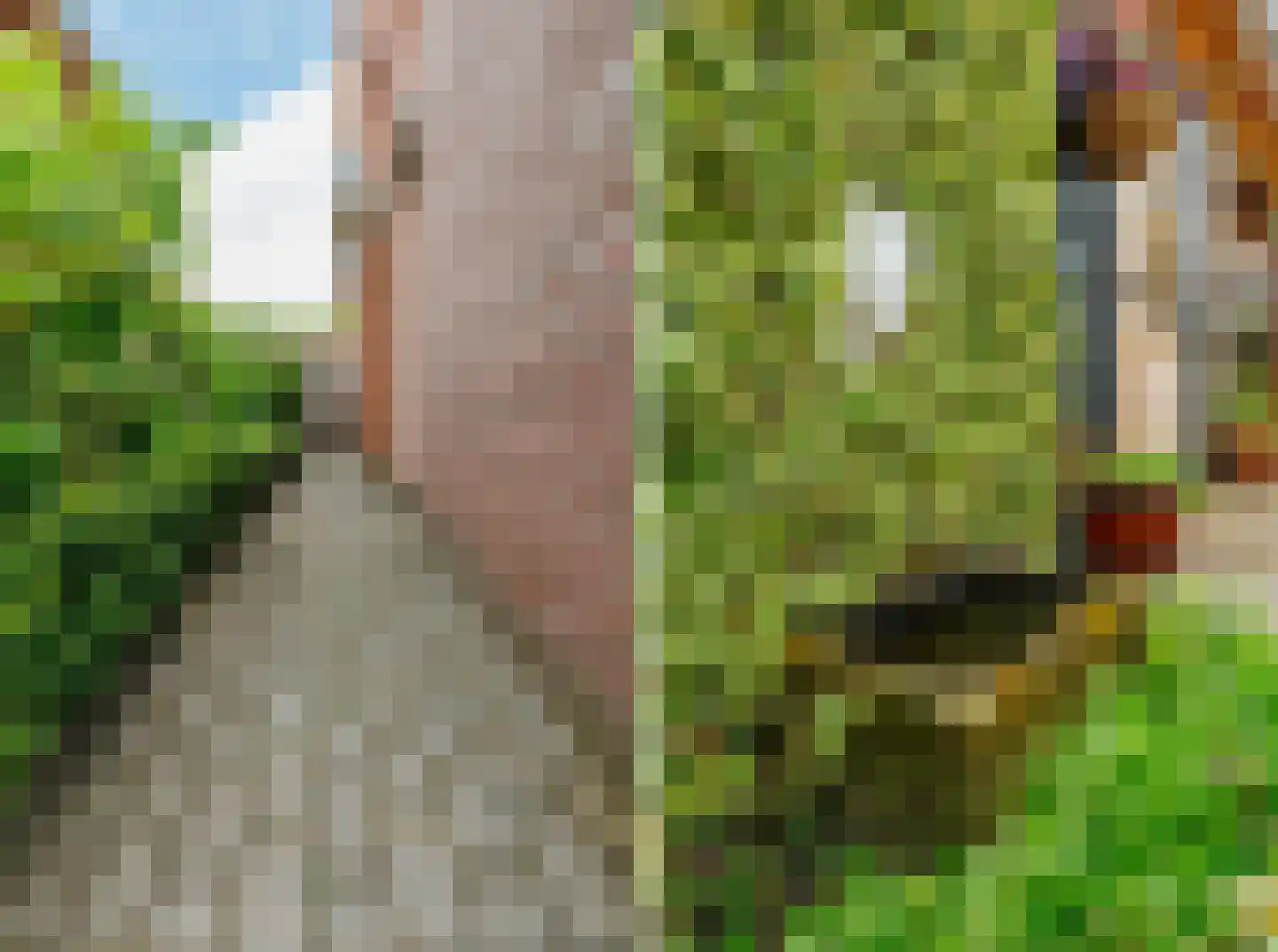 Planthofsweg 5 Almelo thumbnail 47