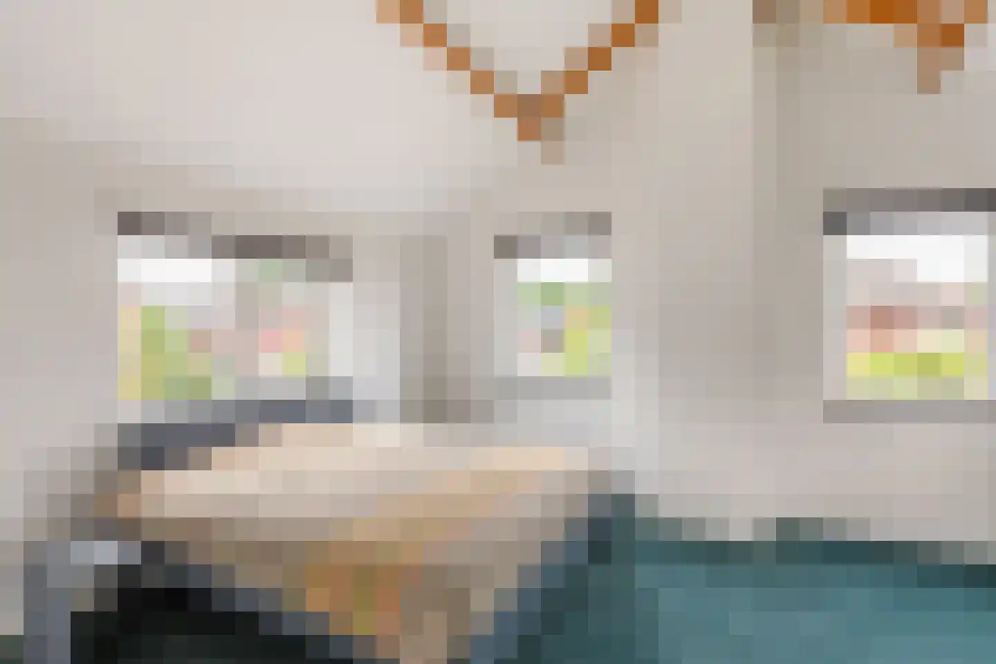 Planthofsweg 6 Almelo thumbnail 15