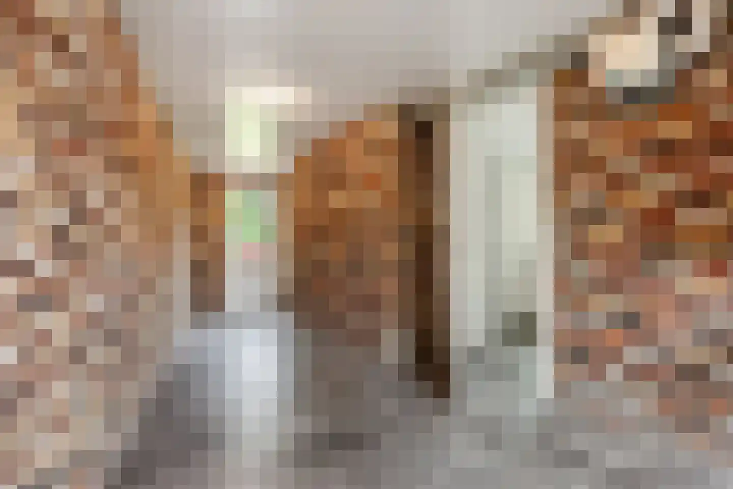 Planthofsweg 6 Almelo thumbnail 18