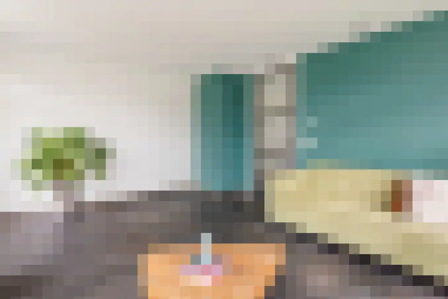 Planthofsweg 6 Almelo thumbnail 8