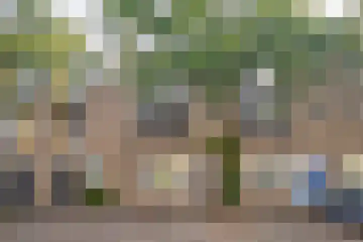 Plantijndomein 15 Maastricht thumbnail 20