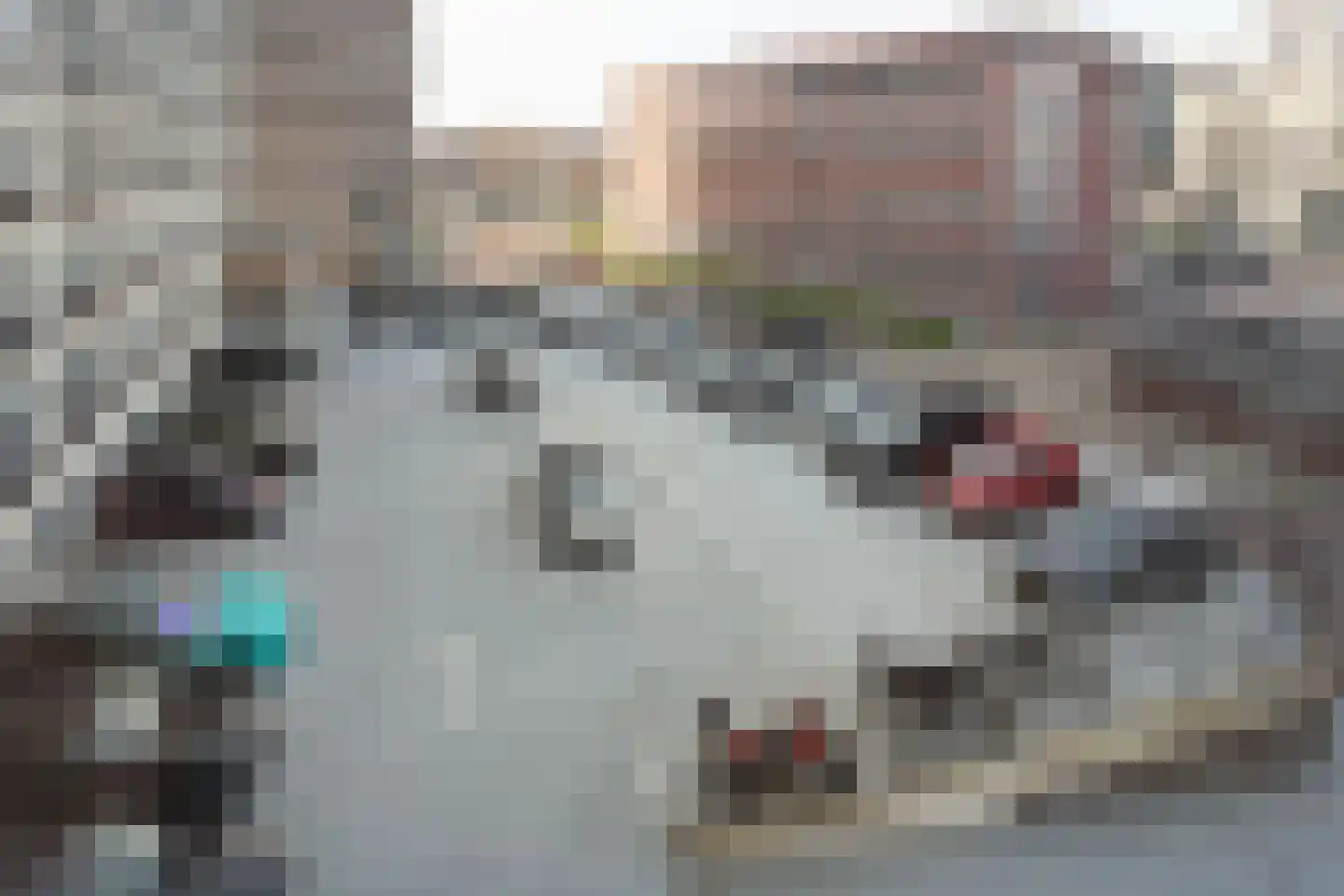 Plantijnstraat 102 Leiden thumbnail 31