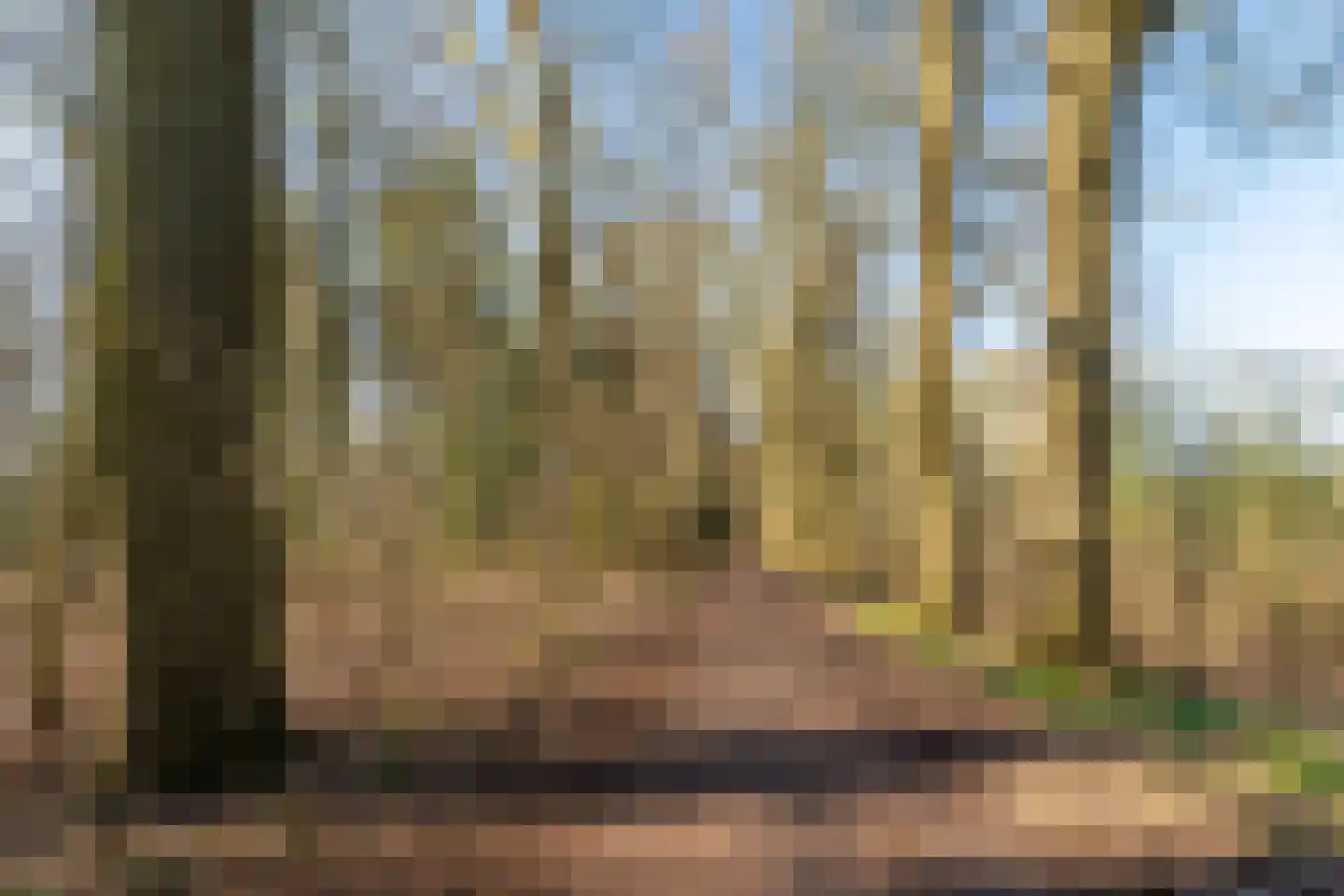 Plantloonseweg 8 Kaatsheuvel thumbnail 66