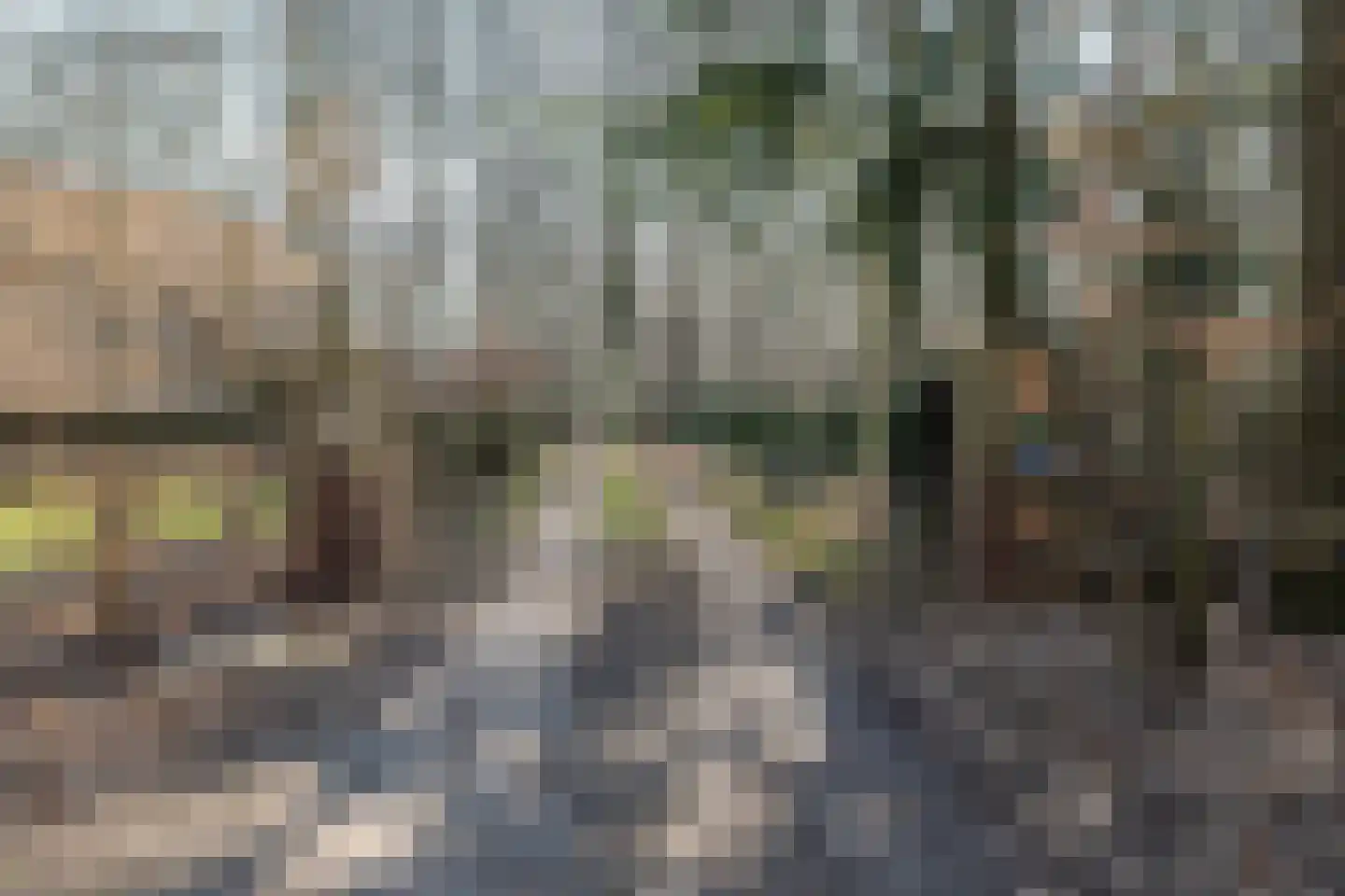 Plantloonseweg 8 Kaatsheuvel thumbnail 67
