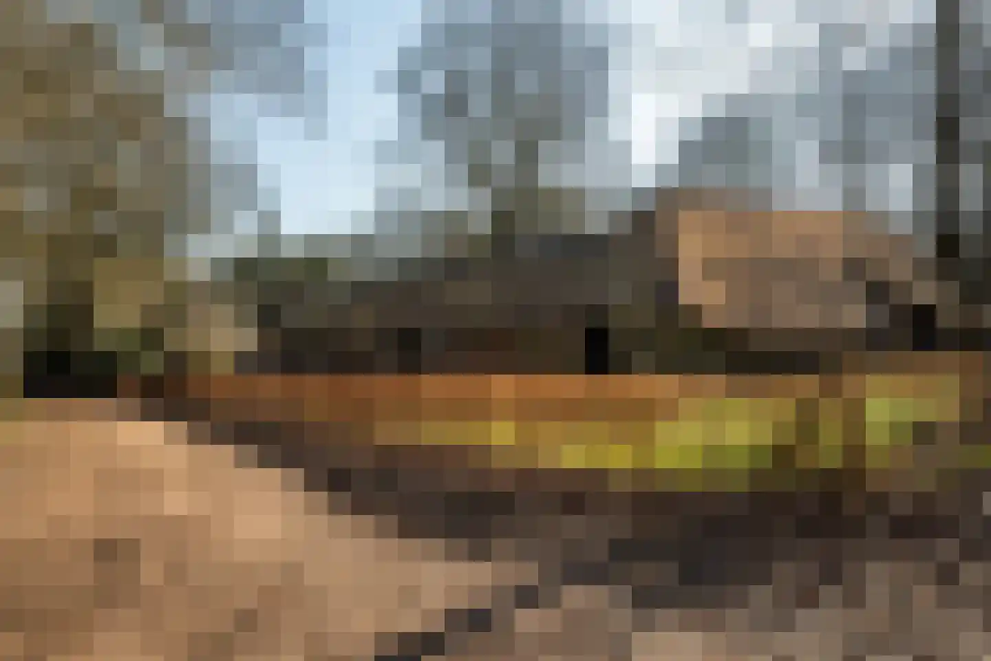 Plantloonseweg 8 Kaatsheuvel thumbnail 68