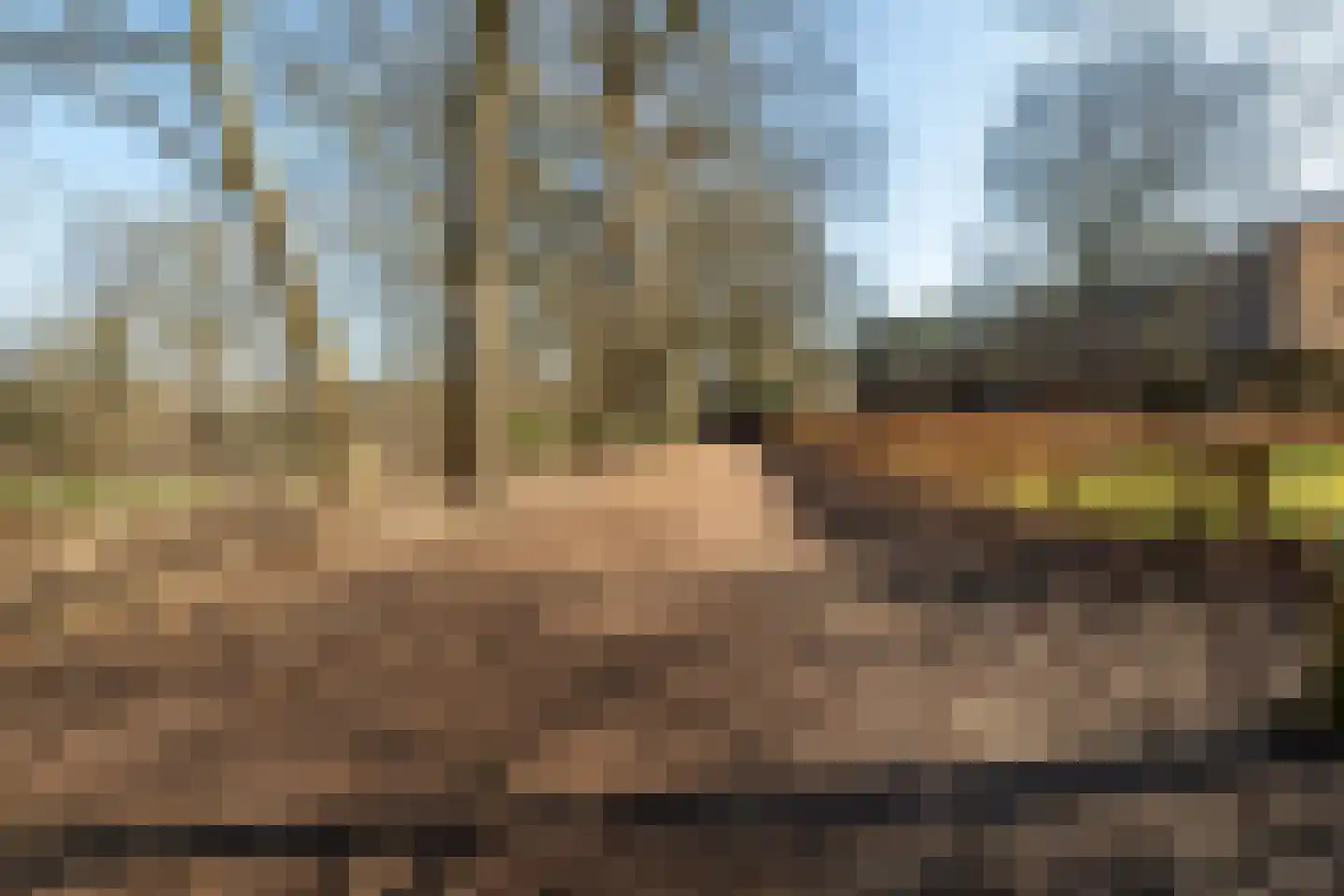 Plantloonseweg 8 Kaatsheuvel thumbnail 69
