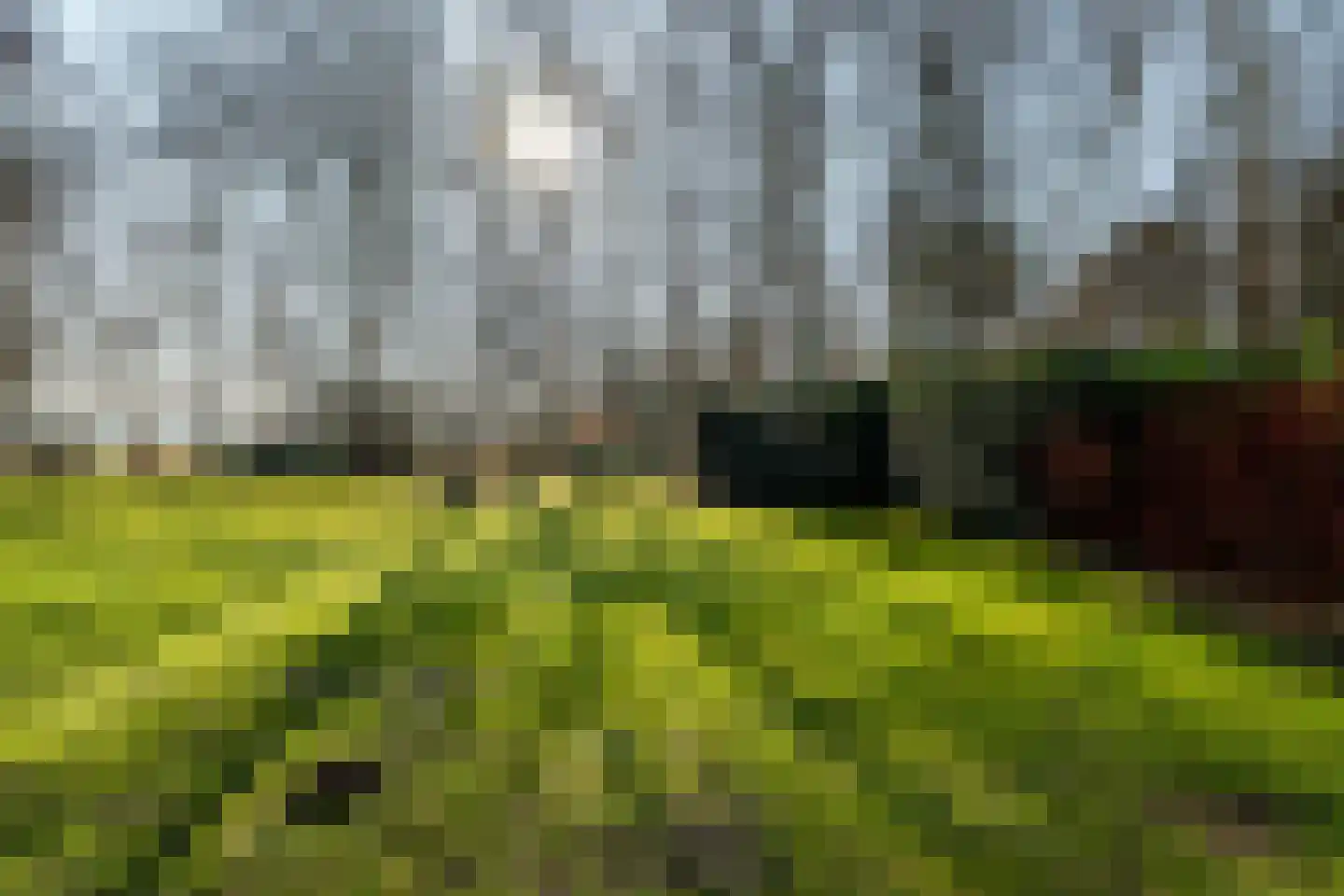 Plantloonseweg 8 Kaatsheuvel thumbnail 72