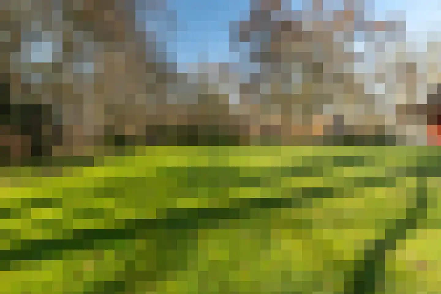 Plantloonseweg 8 Kaatsheuvel thumbnail 77