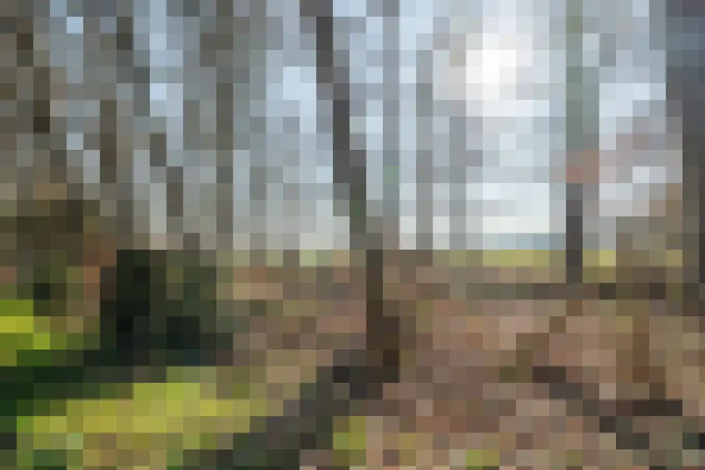 Plantloonseweg 8 Kaatsheuvel thumbnail 78