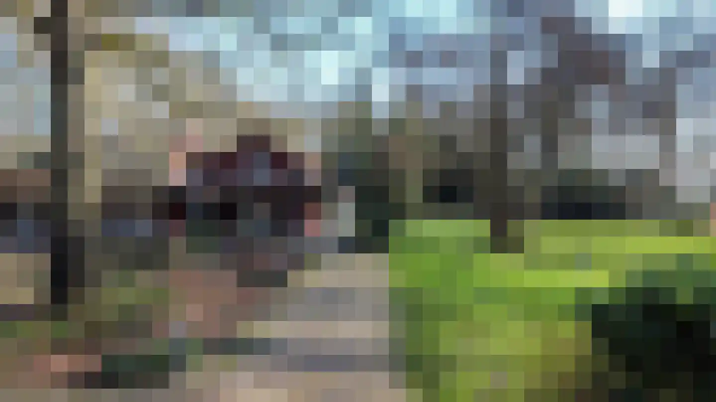 Plantloonseweg 8 Kaatsheuvel thumbnail 82