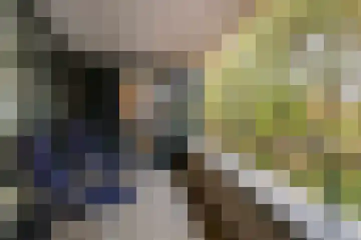Plantlust 47 Waalwijk thumbnail 14