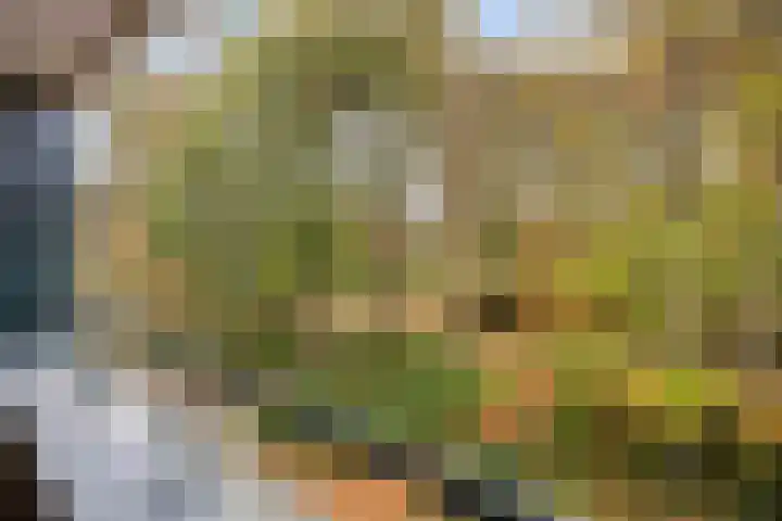 Plantlust 47 Waalwijk thumbnail 15