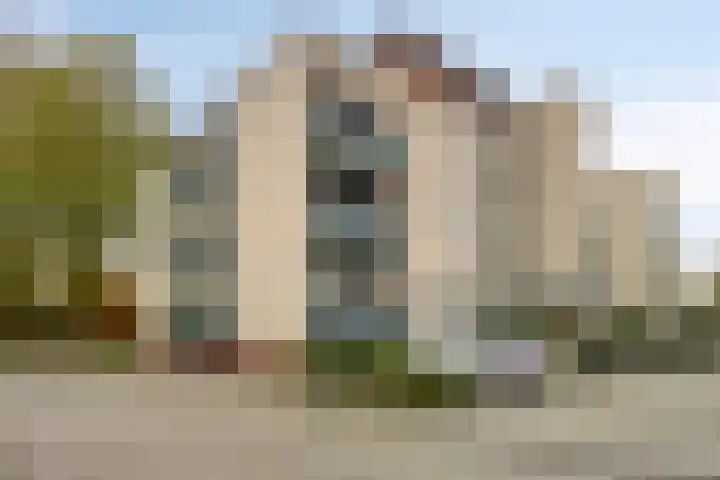 Plantlust 47 Waalwijk thumbnail 16