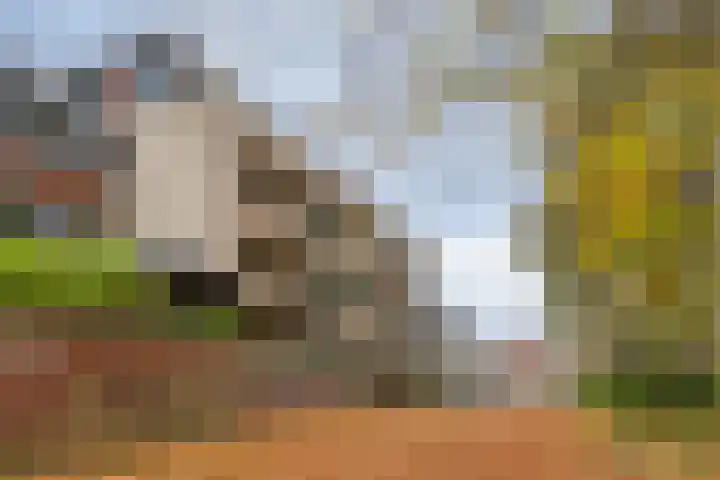 Plantlust 47 Waalwijk thumbnail 18